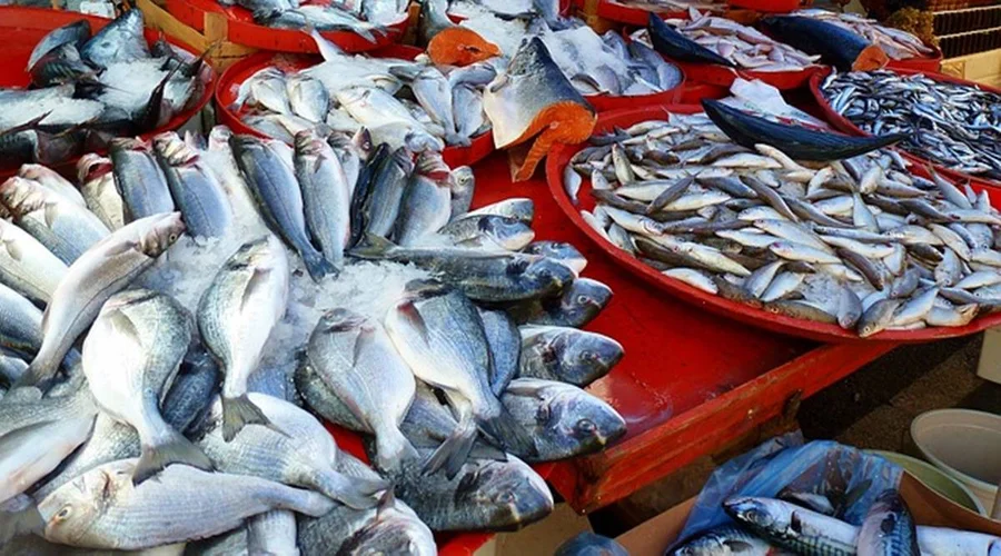Vigilância Sanitária orienta população sobre cuidados na compra e preparo de pescados
