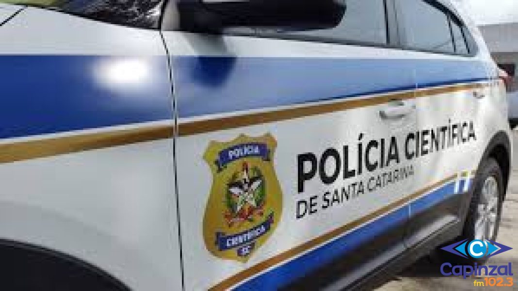 Homem morre após ataque de abelhas no Extremo Oeste de SC