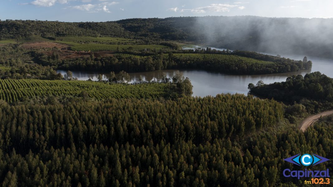 Irani conquista o 32º Prêmio Expressão de Ecologia, com dois projetos no setor papel e embalagem