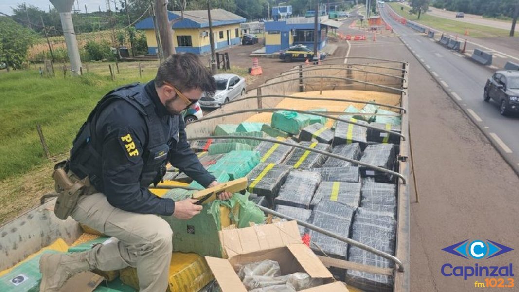 Carreta com destino para Videira é flagrada transportando 5,4 toneladas de drogas