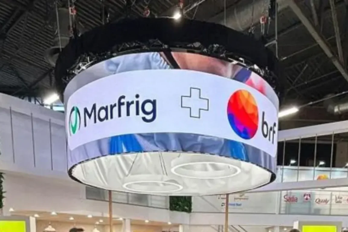 Lucro da MBRF recua 92% no quarto trimestre e 78% no ano