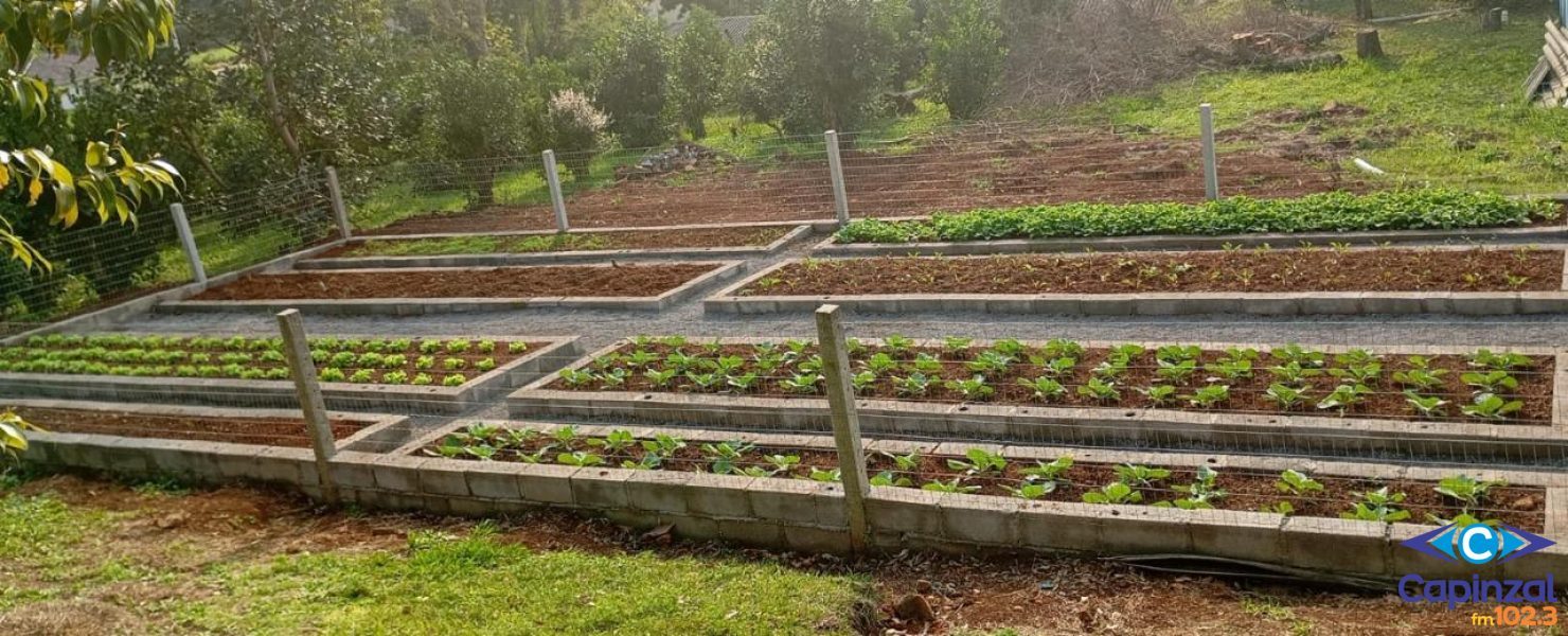 Projeto Horta na Escola leva alunos de Capinzal ao Polo Astronômico de Videira para estudo da Lua