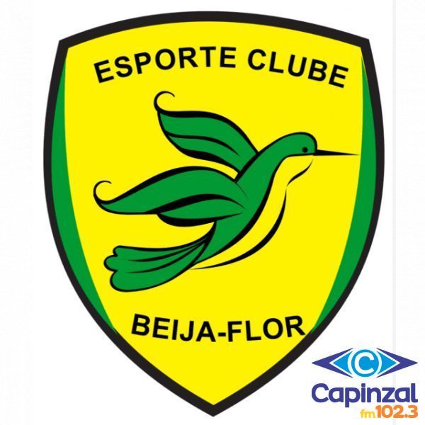 Beija-Flor joga em casa nesta quinta pela Série Bronze