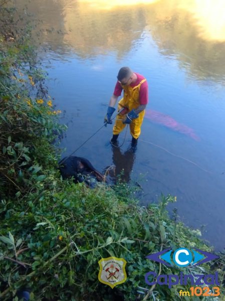 Bombeiros Voluntários resgatam cachorro amarrado em rio de Caçador