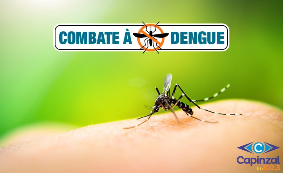 Ouro adota novo método contra a dengue e mantém baixo número de casos em 2026