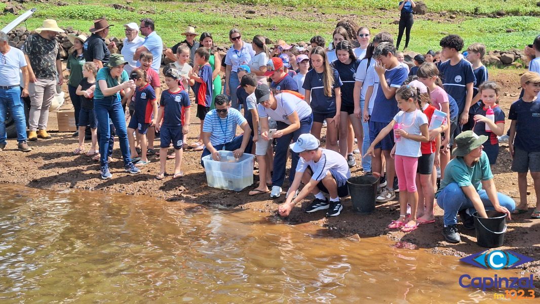 Consórcio Machadinho realiza mais uma soltura de peixes