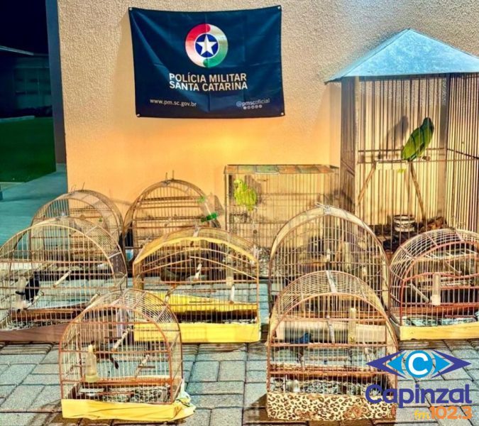 Operação resgata 10 aves mantidas ilegalmente em cativeiro em Herval d’Oeste