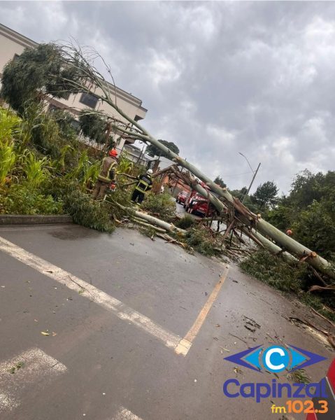 Temporal provoca danos em residências e queda de árvores em Irani