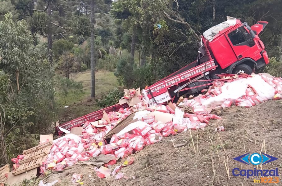 Caminhão sai da pista e capota na BR-470
