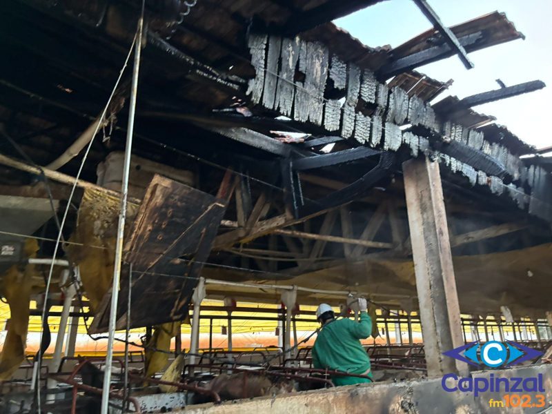 Incêndio atinge granja de suínos no interior de Videira e mobiliza bombeiros