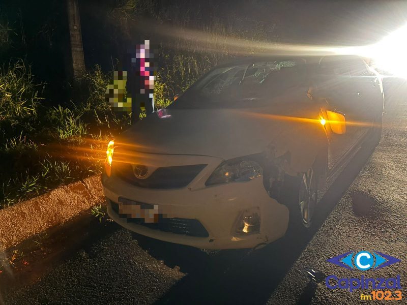 Cavalo morre após ser atingido por carro em Concórdia