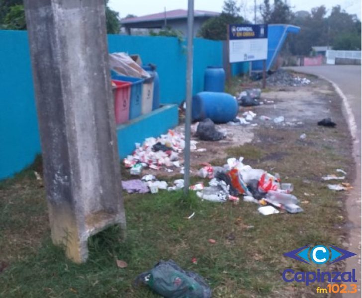 Cães soltos geram prejuízos e preocupação no Distrito de Alto Alegre, em Capinzal