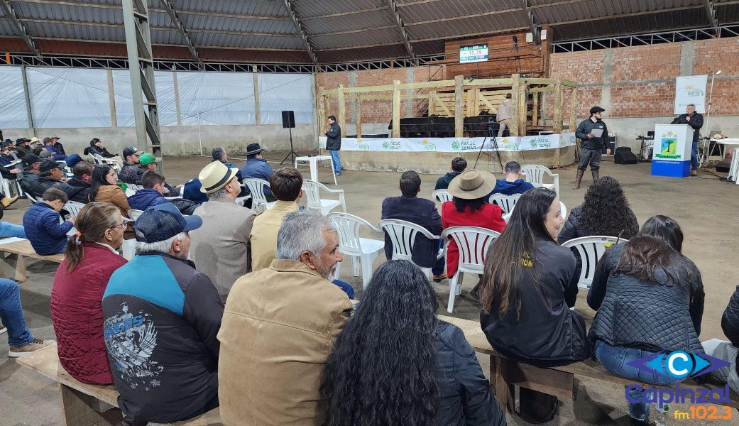 12º Leilão de Gado Geral em Zortéa movimenta quase R$ 850 mil