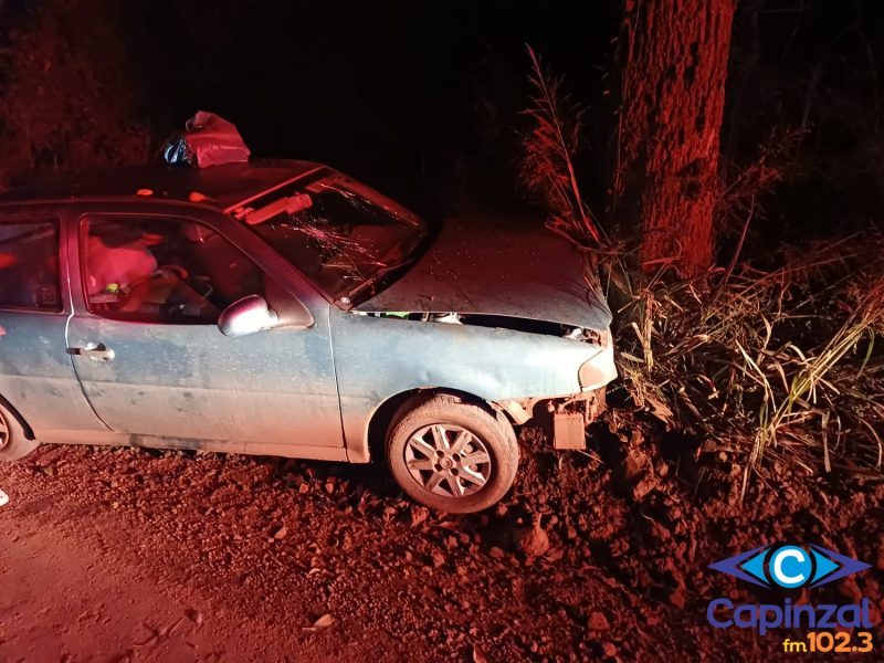 Motociclista fica ferido após colisão com cervo na BR-282 em Ponte Serrada