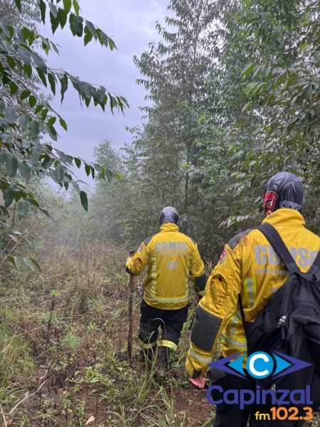 Buscas por homem desaparecido em Seara entram no terceiro dia e mobilizam bombeiros, drone e cão farejador