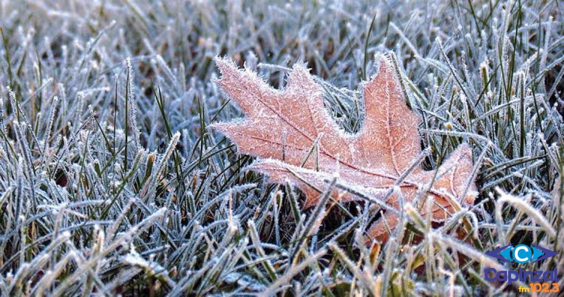 Frio extremo leva temperaturas abaixo de zero em Santa Catarina; Capinzal e Ouro registram marcas próximas de 0°C