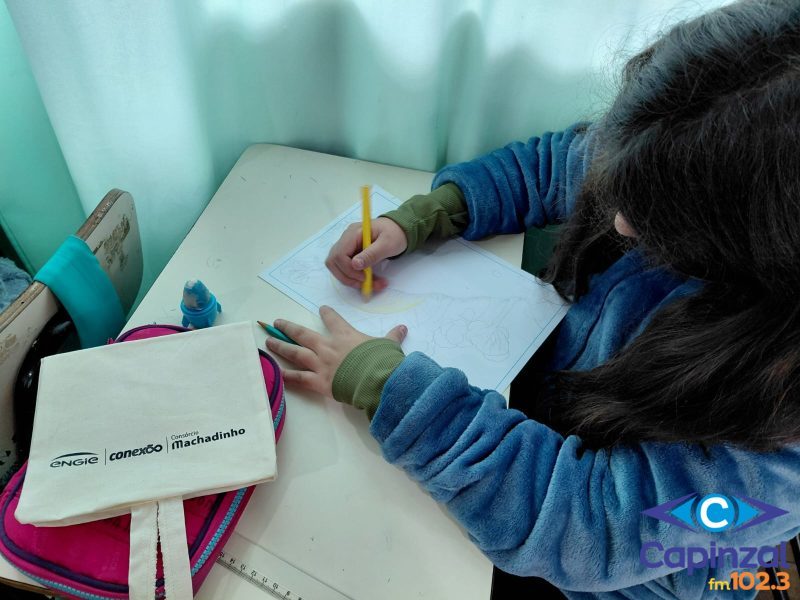 Programa de Educação Ambiental da Usina Hidrelétrica Machadinho promoveu ações de conscientização durante o Mês do Meio Ambiente