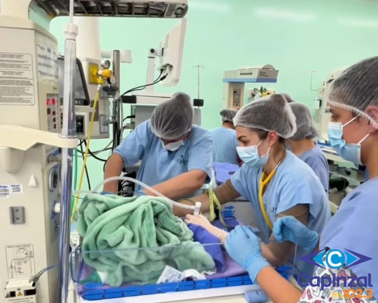 Nascimento de trigêmeos emociona equipe do HUST e família de Zortéa