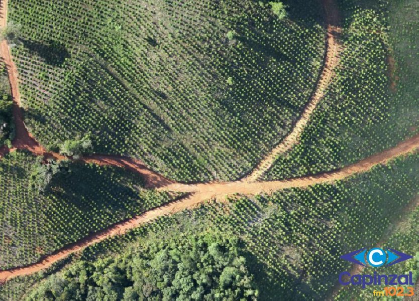 Irani investe em tecnologia para fortalecer a gestão florestal no Meio-Oeste de SC