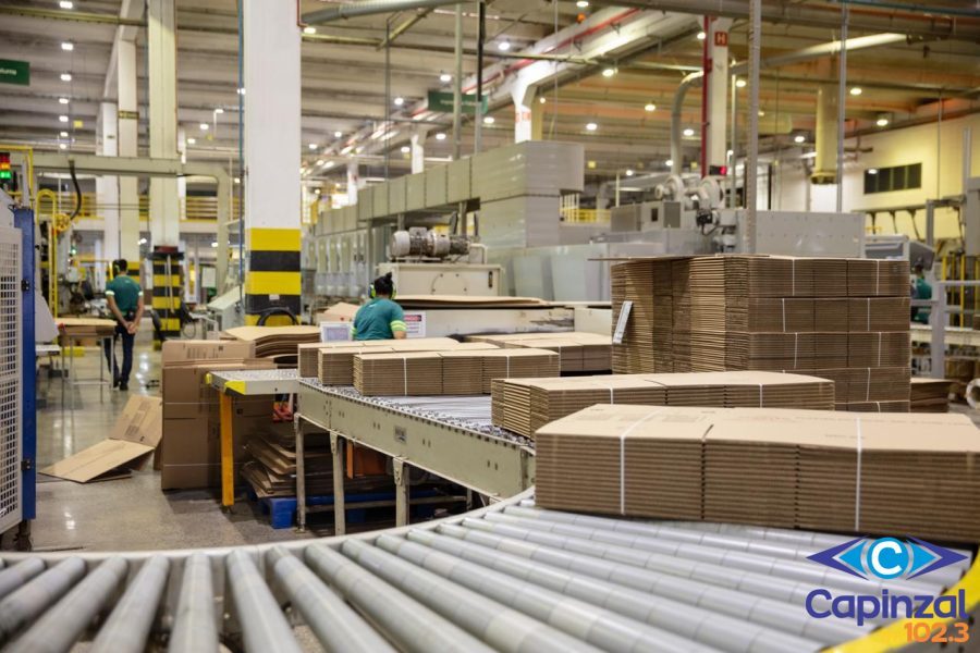 Irani amplia receita líquida e EBITDA e cresce acima do mercado de papelão ondulado