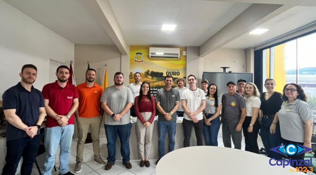 Empossados os membros do Conselho Municipal da Cidade, em Ouro