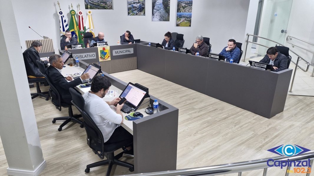 Legislativo capinzalense aprova moção de repúdio contra retirada de cinco cães comunitários em Campos Novos