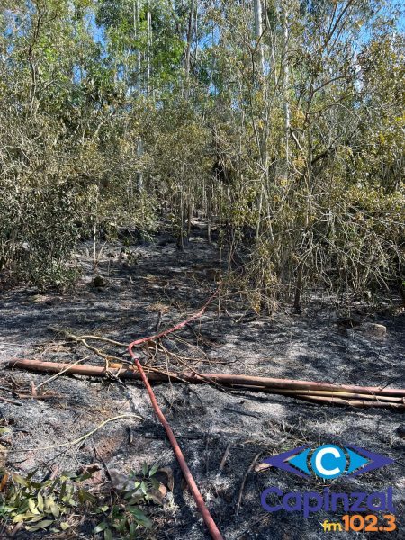 Bombeiros combatem incêndio em área de vegetação no interior de Itá