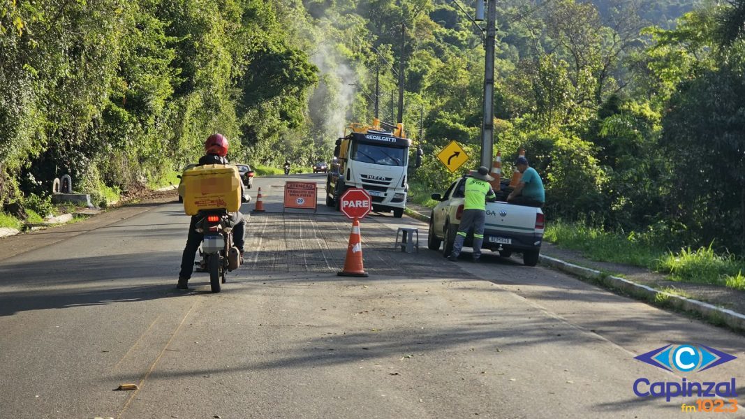 Obras de poda de árvores e recuperação avançam na SC-150 entre Joaçaba e Ouro