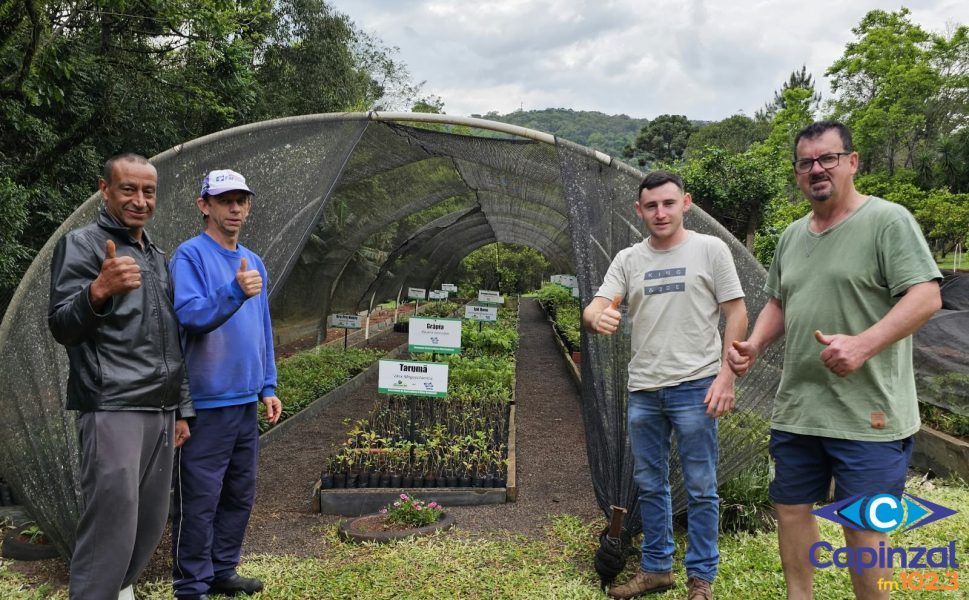 Horto Municipal de Capinzal celebra o Dia da Árvore com distribuição de mudas e visitas escolares