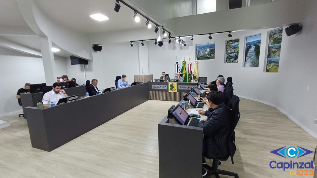 Câmara de Capinzal aprova inclusão de ação de Controle e Proteção Animal no PPA