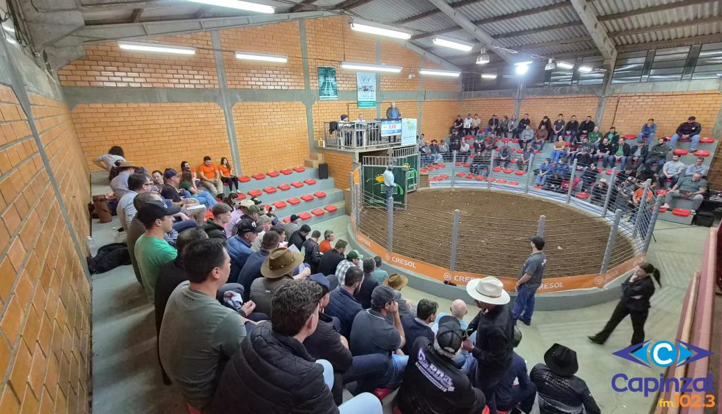61º Leilão de Gado Geral do Sindicato Rural de Capinzal movimenta R$ 1,35 milhão