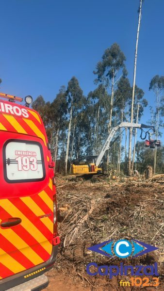 Jovem de 23 anos morre após ser atingido por toras de eucalipto em São José do Cerrito