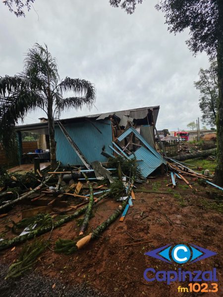 Araucária cai sobre residência durante temporal em Campos Novos